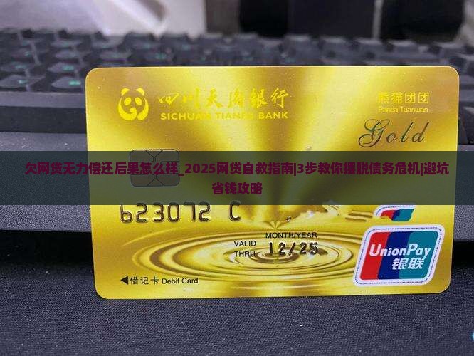 欠网贷无力偿还后果怎么样