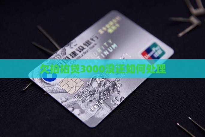 欠拍拍贷3000没还如何处理
