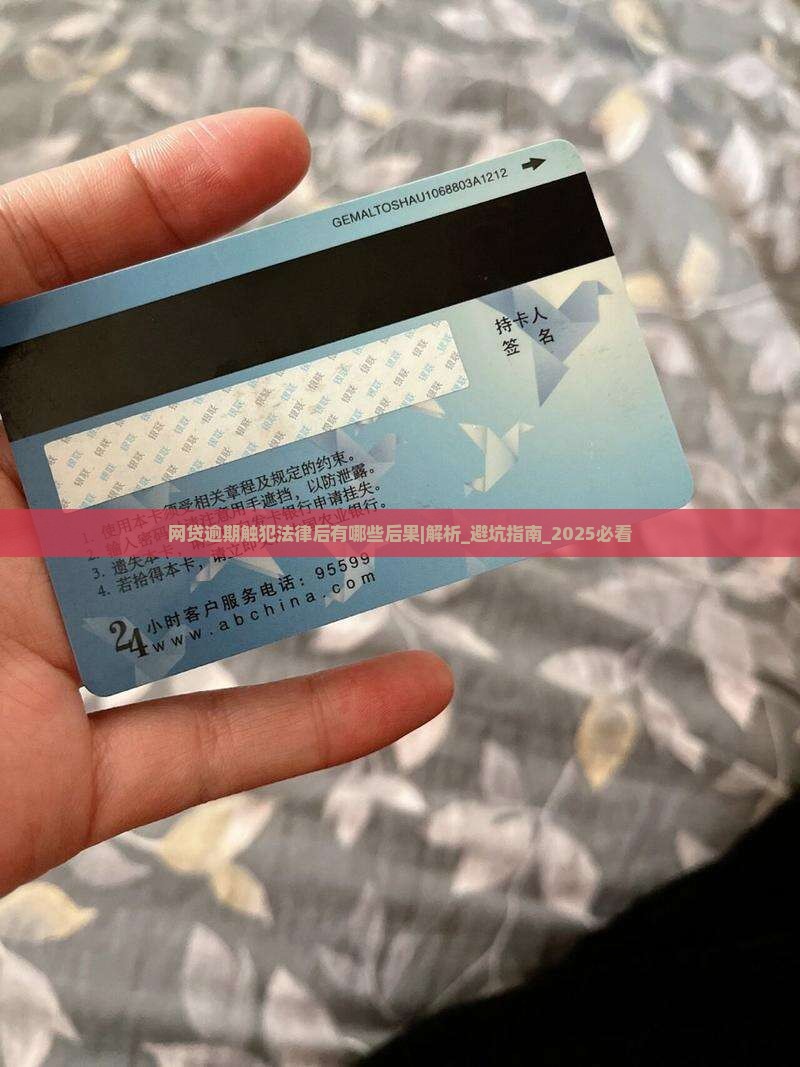网贷逾期触犯法律后有哪些后果
