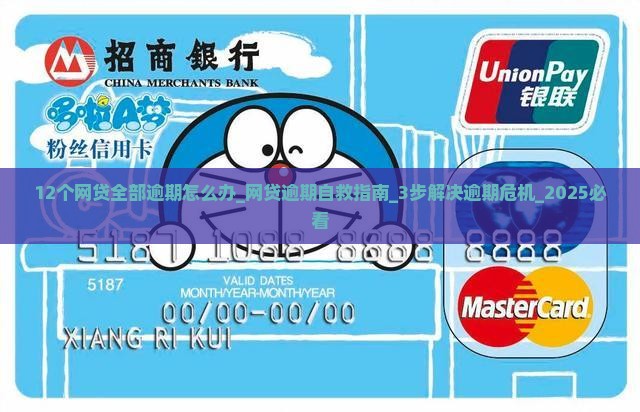 12个网贷全部逾期怎么办