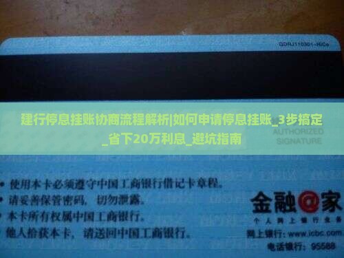 建行停息挂账协商流程解析