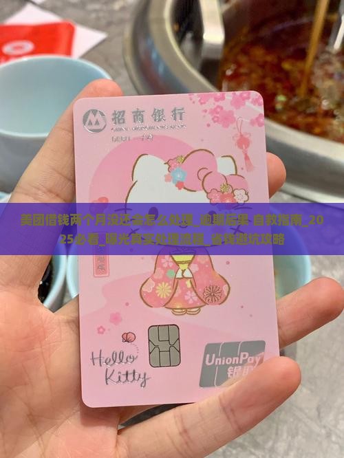 美团借钱两个月没还会怎么处理