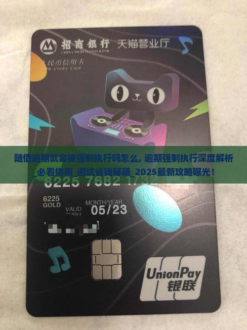 随借逾期就会被强制执行吗怎么办理
