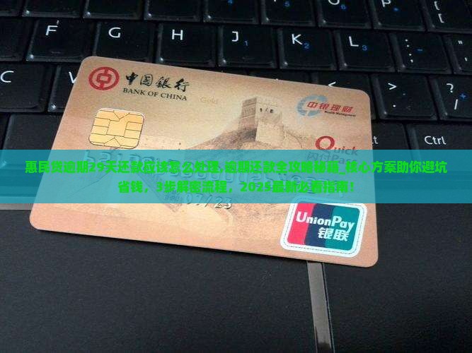 惠民贷逾期29天还款应该怎么处理