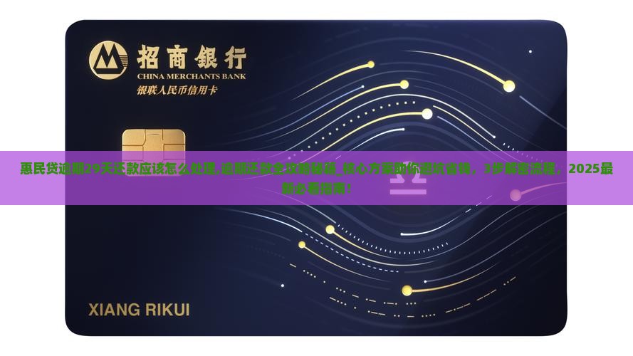 惠民贷逾期29天还款应该怎么处理