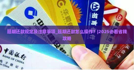 白条延期还款规定及注意事项