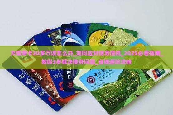 欠信用卡20多万该怎么办
