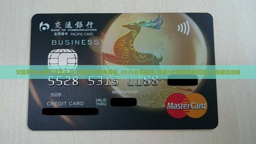 欠信用卡20多万该怎么办