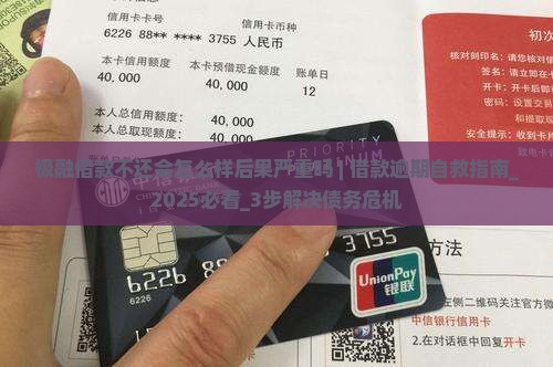 极融借款不还会怎么样后果严重吗