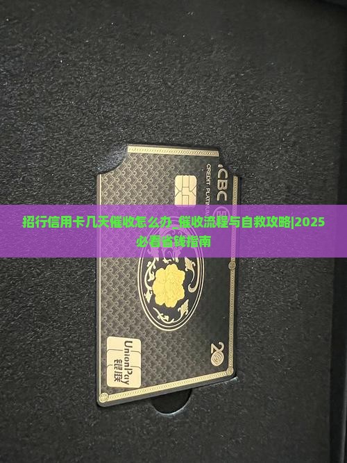 招行信用卡几天催收怎么办