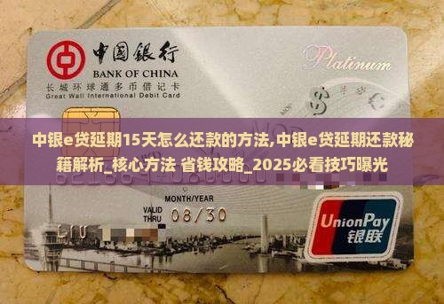 中银e贷延期15天怎么还款的方法