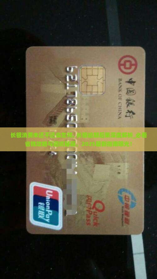 长银消费未还不还会怎样