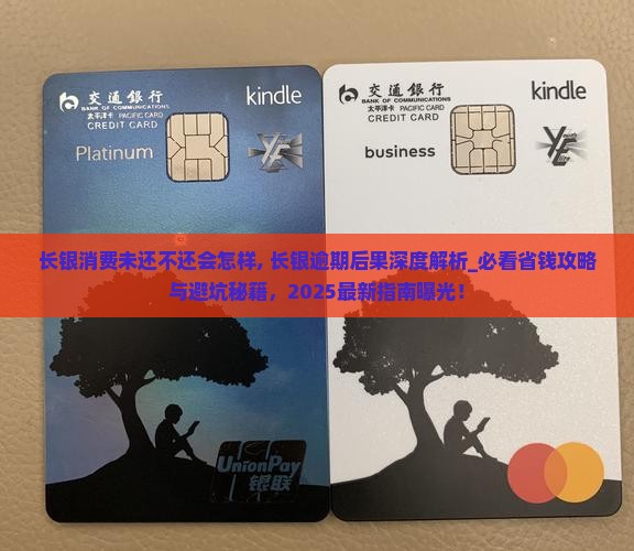 长银消费未还不还会怎样