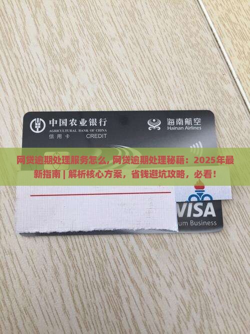 网贷逾期处理服务怎么办理 网贷逾期处理服务怎么办理