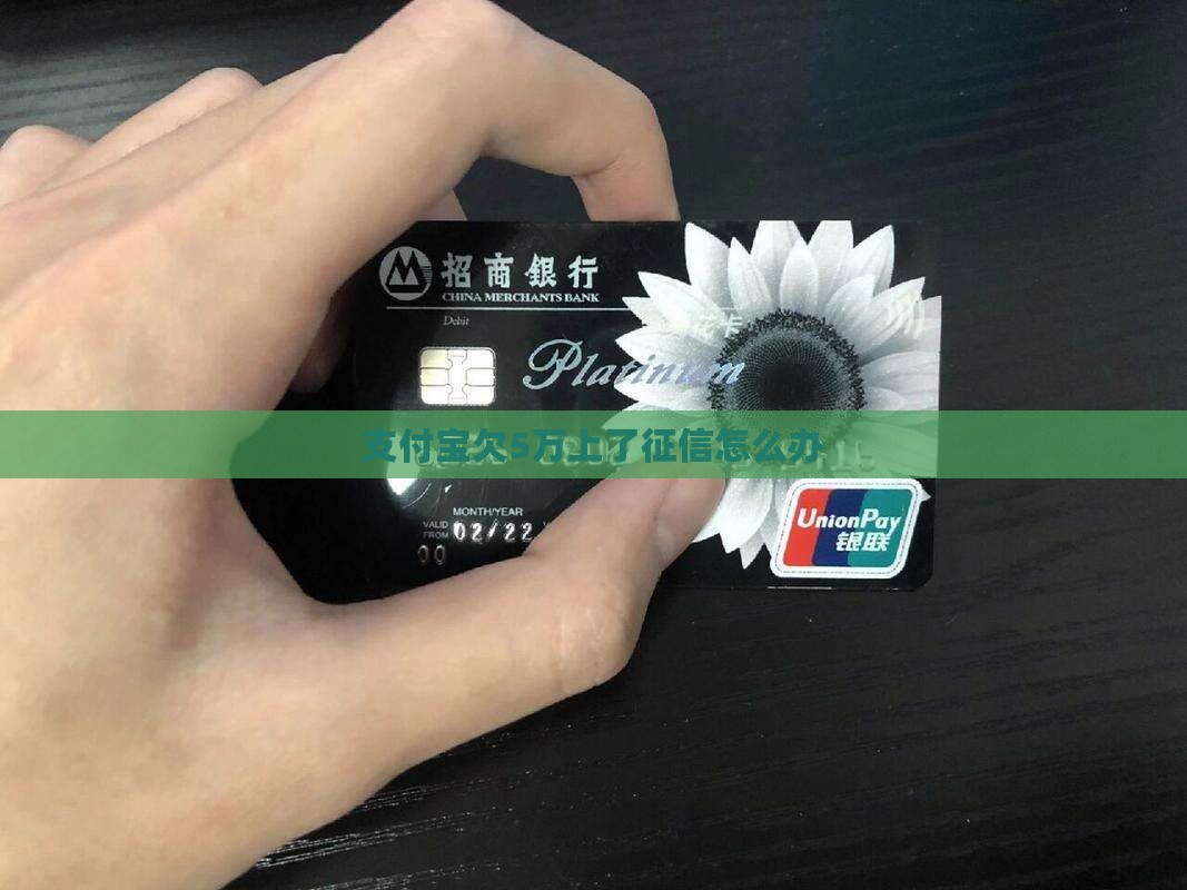 支付宝欠5万上了征信怎么办 支付宝欠5万上了征信怎么办