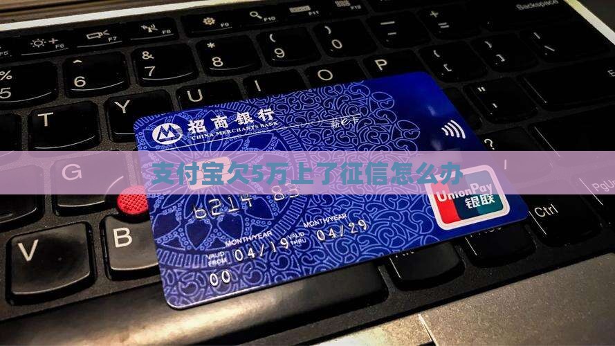 支付宝欠5万上了征信怎么办 支付宝欠5万上了征信怎么办