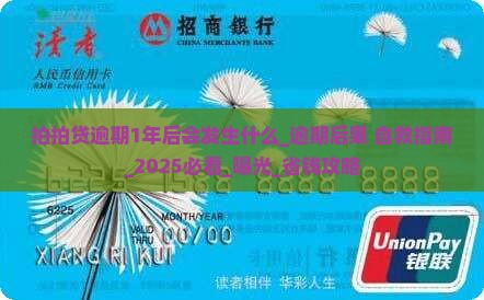 拍拍贷逾期1年后会发生什么