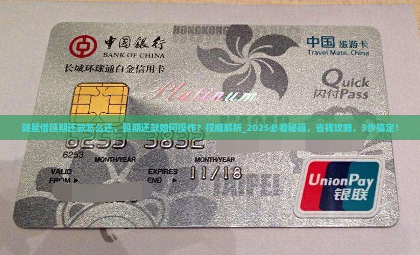 随星借延期还款怎么还