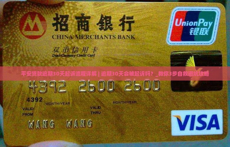 平安贷款逾期30天起诉流程详解