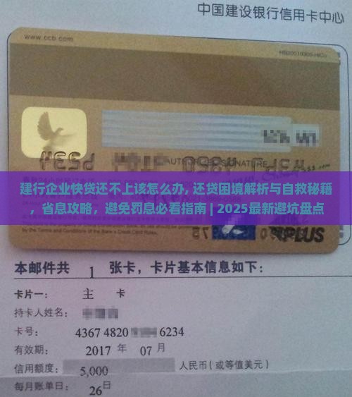 建行企业快贷还不上该怎么办