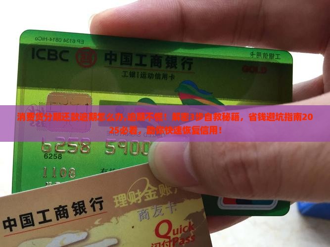 消费贷分期还款逾期怎么办