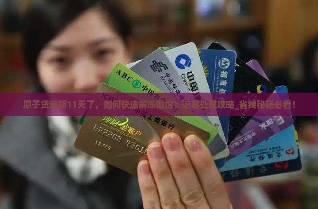 原子贷逾期11天了