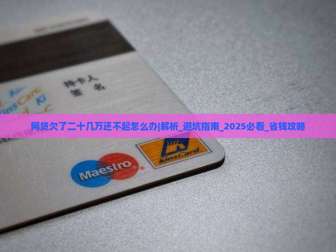 网贷欠了二十几万还不起怎么办