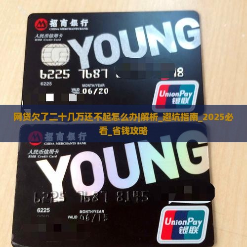 网贷欠了二十几万还不起怎么办
