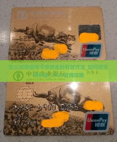 怎么减免信用卡滞纳金的有效方法