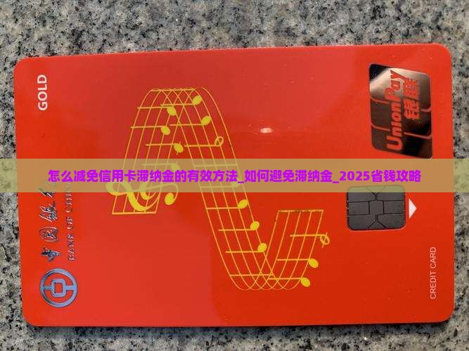 怎么减免信用卡滞纳金的有效方法