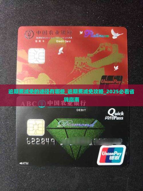 360借条逾期费减免的途径有哪些