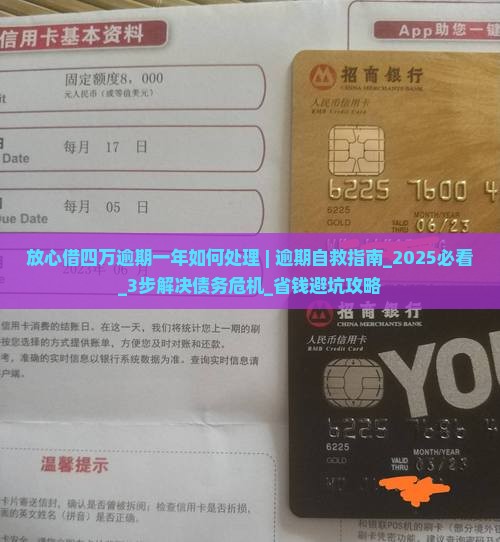 放心借四万逾期一年如何处理