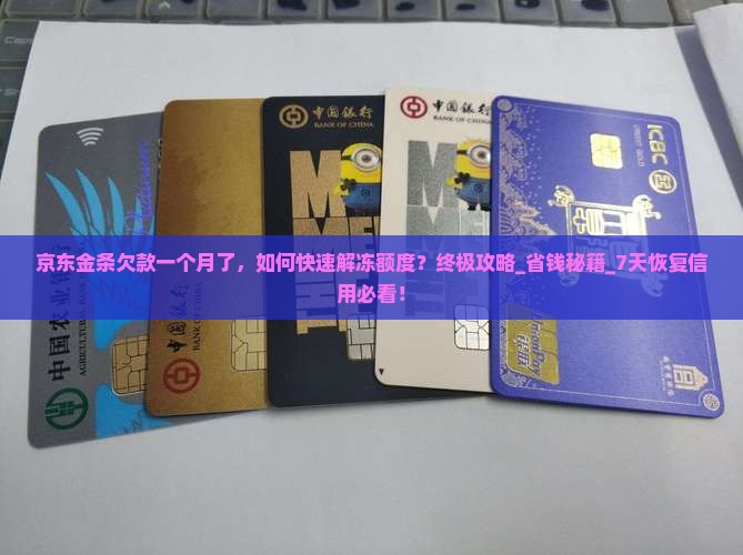 京东金条欠款一个月了