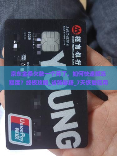 京东金条欠款一个月了
