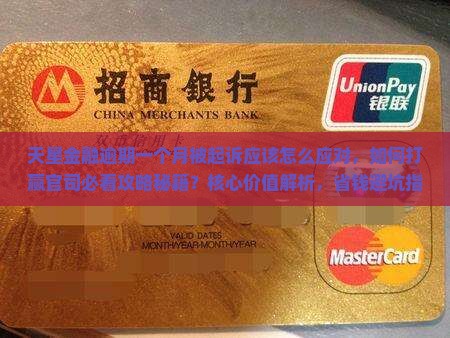 天星金融逾期一个月被起诉应该怎么应对