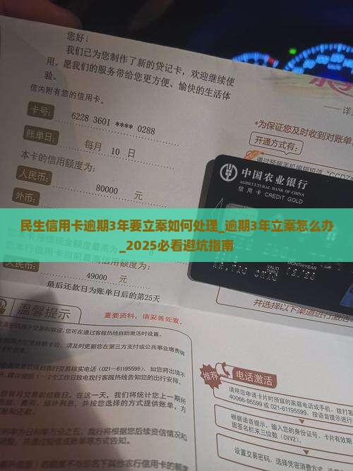民生信用卡逾期3年要立案如何处理