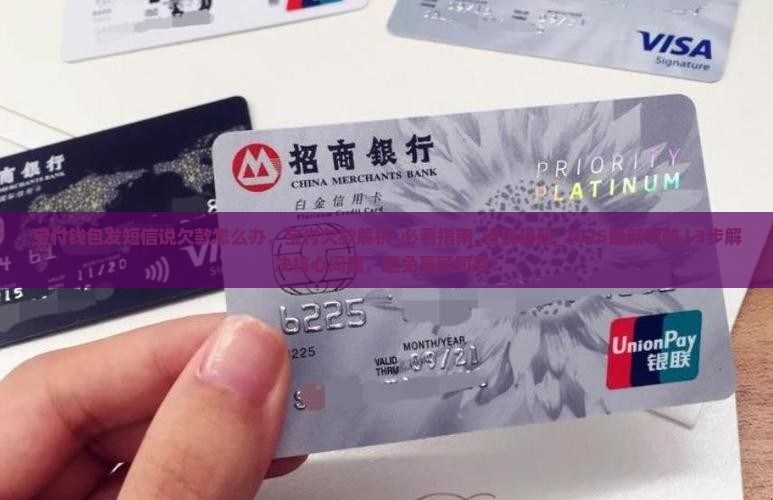 宝付钱包发短信说欠款怎么办