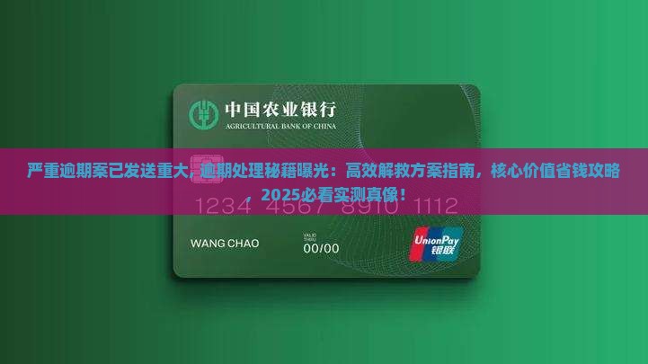 严重逾期案已发送重大
