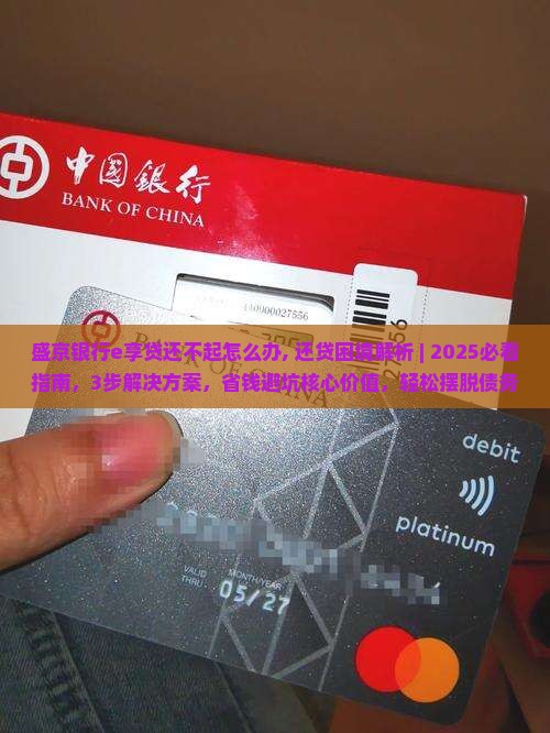 盛京银行e享贷还不起怎么办