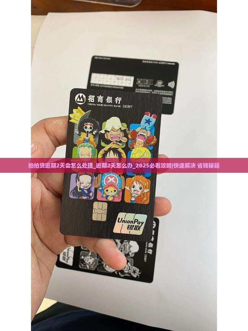 拍拍贷逾期2天会怎么处理
