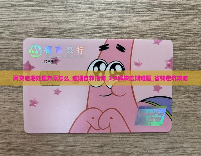 网贷逾期处理方案怎么办理