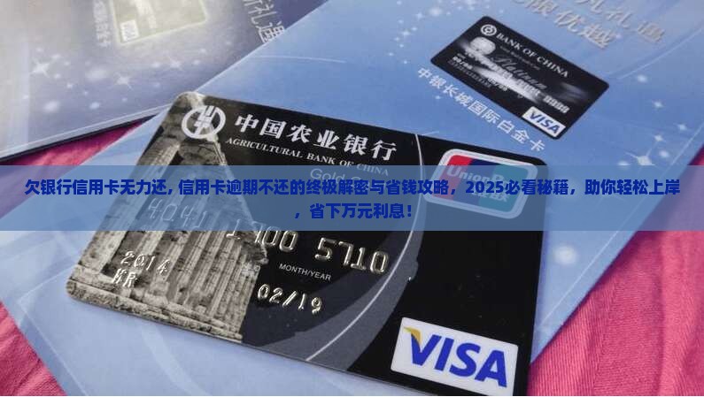 欠银行信用卡无力还