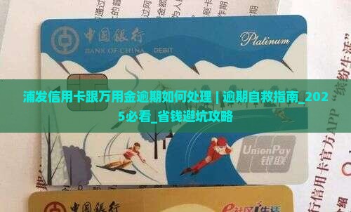 浦发信用卡跟万用金逾期如何处理