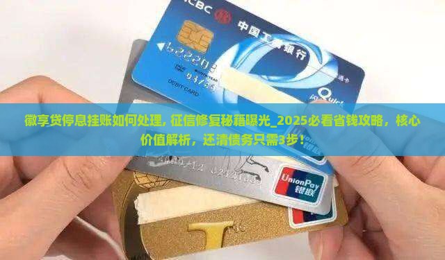 徽享贷停息挂账如何处理