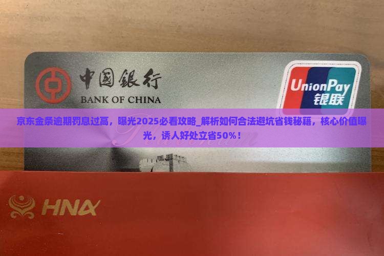 京东金条逾期罚息过高