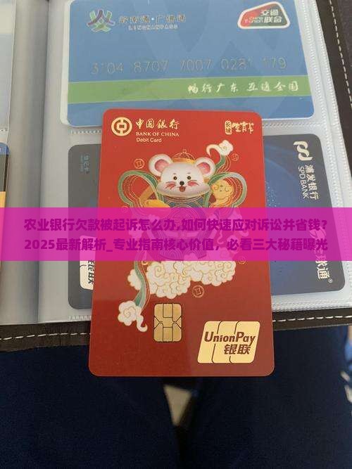农业银行欠款被起诉怎么办