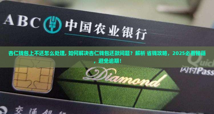 杏仁钱包上不还怎么处理