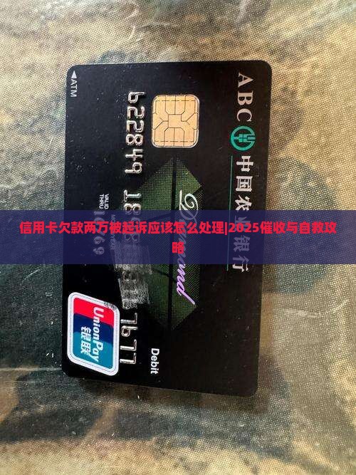 信用卡欠款两万被起诉应该怎么处理