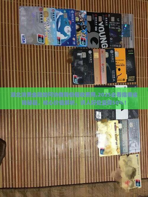 湖北消费金融如何协商降低催收费用