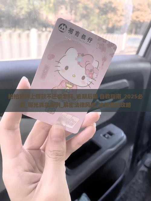 拍拍贷网上借款不还会怎样